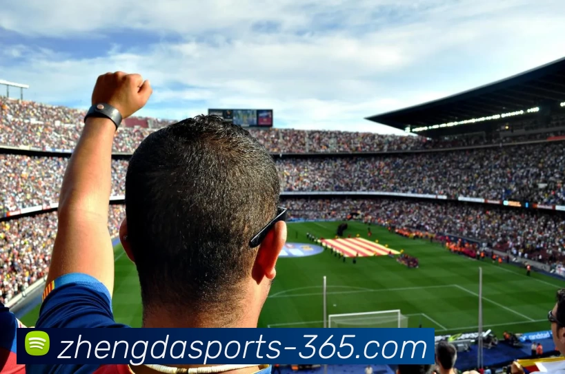 多媒体互动体验